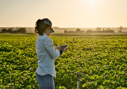 A woman with an iPad stands in front of a green field of crops. 