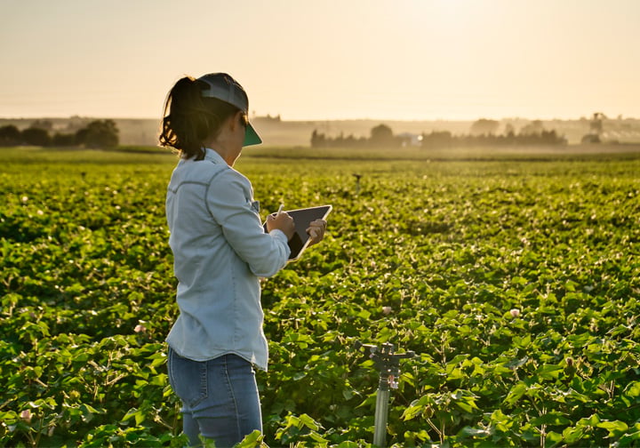 A woman with an iPad stands in front of a green field of crops. 