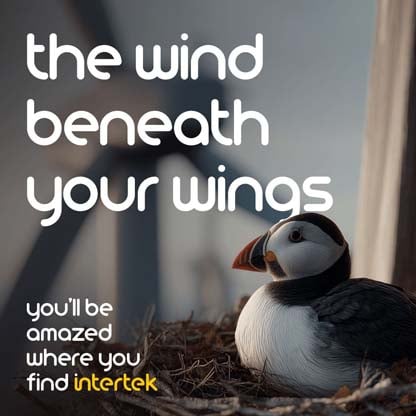 A bird in a nest with wind turbines visible in the background